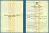 Стоимость Свидетельства о Повышении Квалификации 1997-2018 г. в Рузе и Московской области